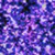 Thumbnail 39