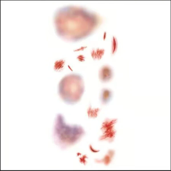 Thumbnail 15